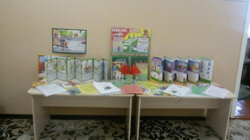 IMG-20180425-WA0276 (Medium)